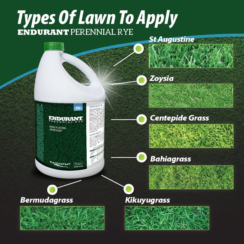 Endurant Turf Colorants - Perennial Rye Spray Green Grass Paint for Lawns - Revives Dry, Patchy Yards - Light Grass Hue - Easy to Use, Concentrated Turf Grass Dye - Covers Approx 10,000 Sq Ft - 1 Gal - Image 3